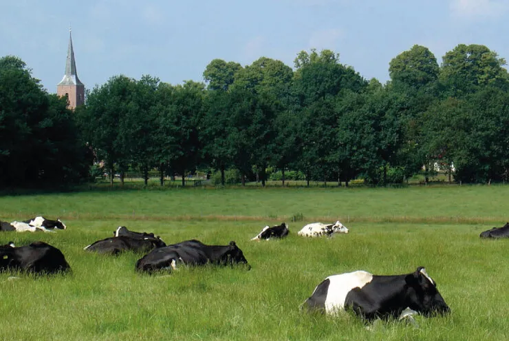 Motorrijles Gieten